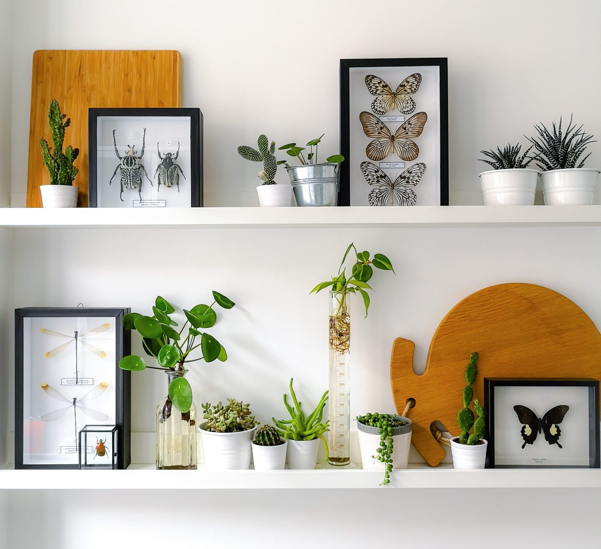 Floating Shelf Styling