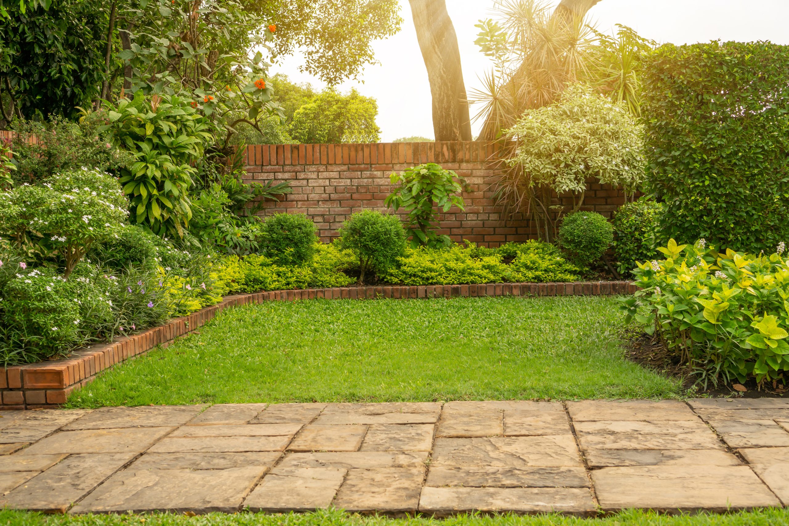 backyard landscaping plans