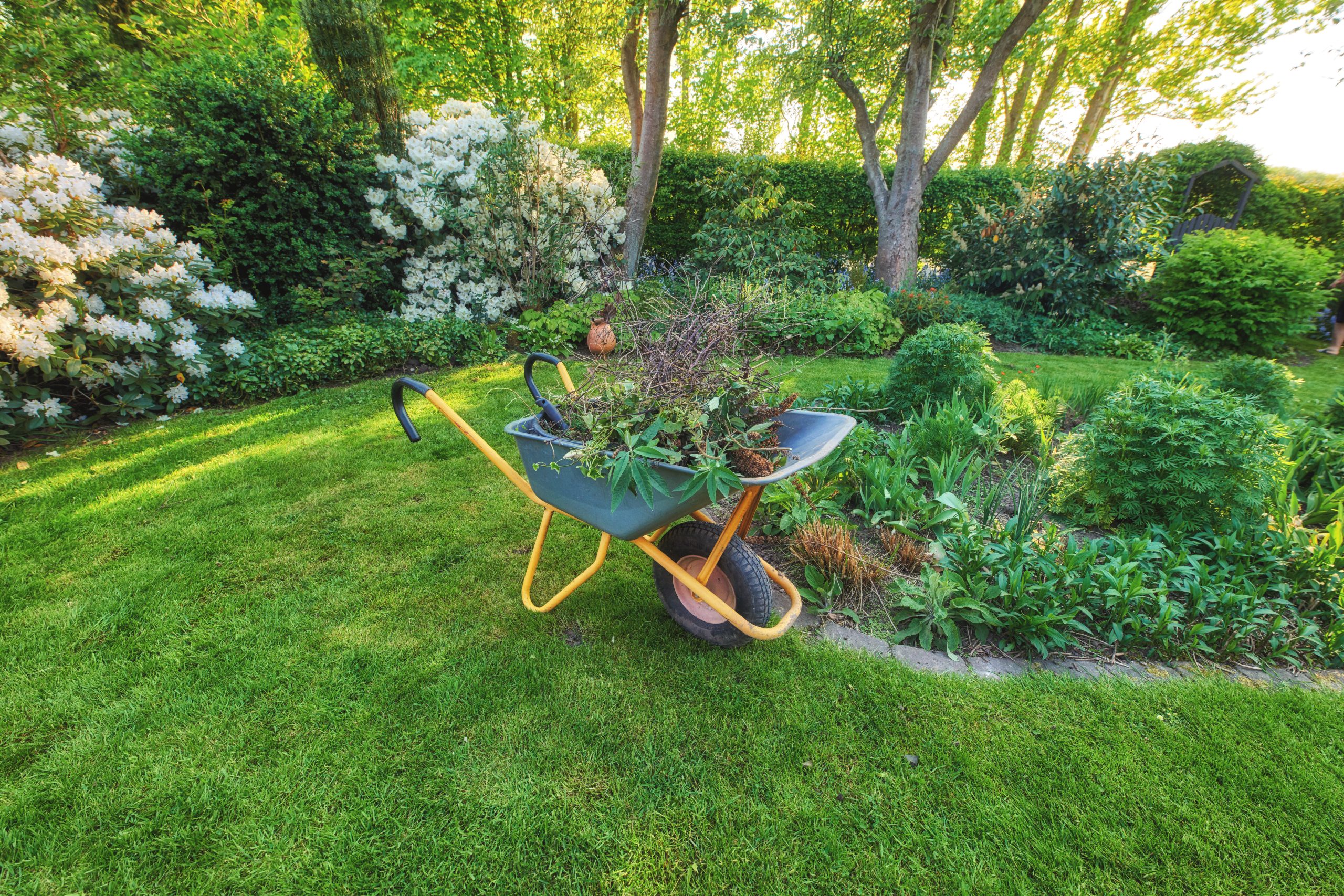 diy garden design
