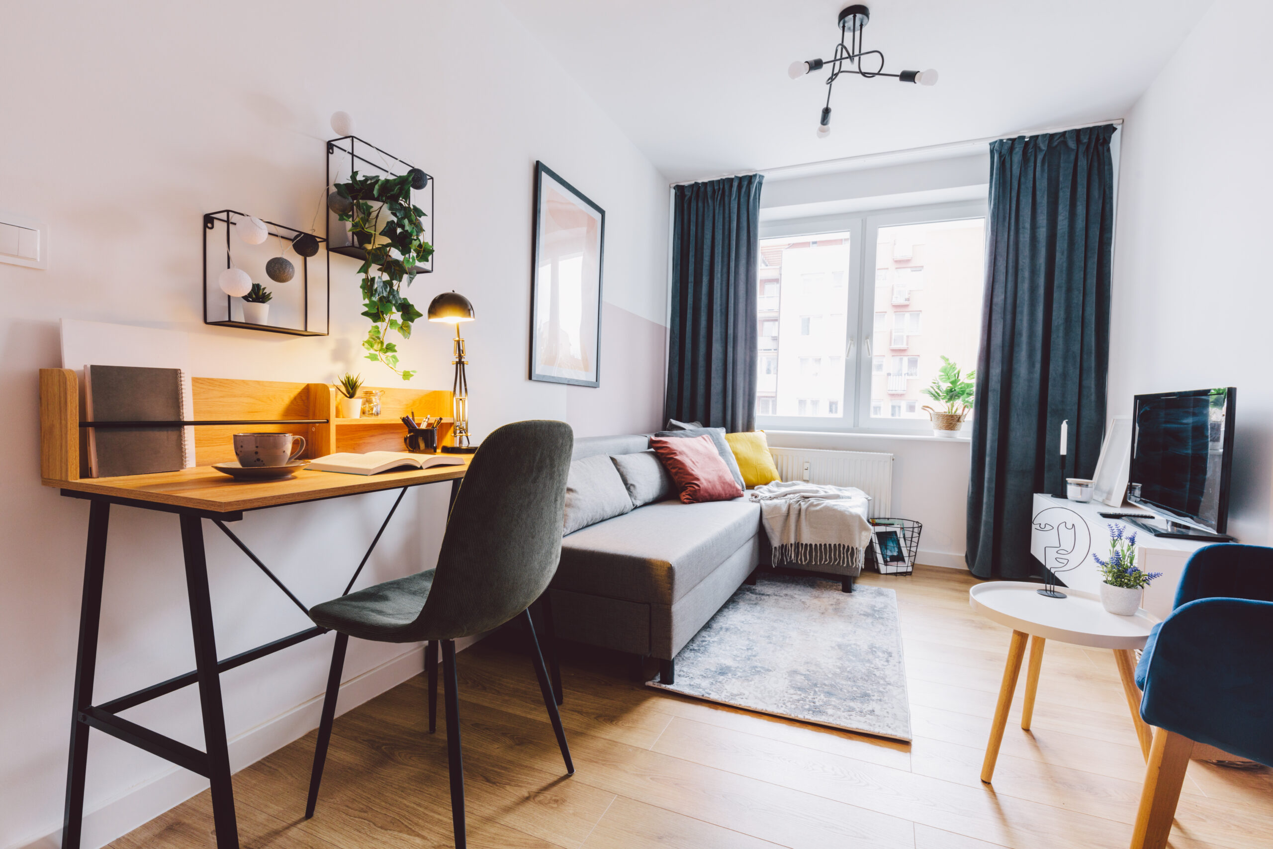 home office with indoor plants